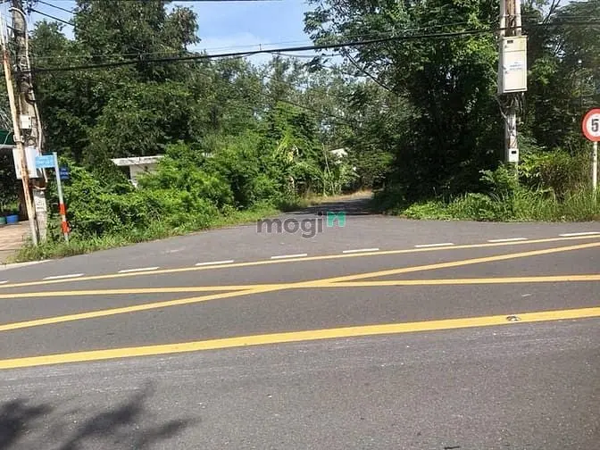 6063210 ảnh đại diện 1