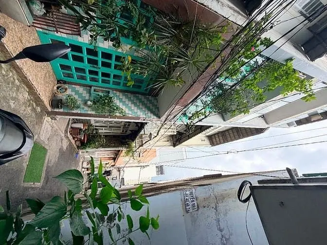 6063226 ảnh đại diện 1