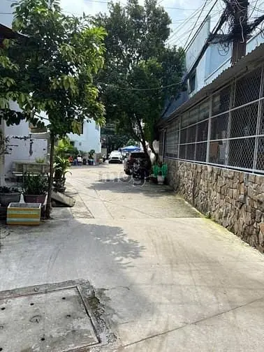 6063059 ảnh đại diện 1