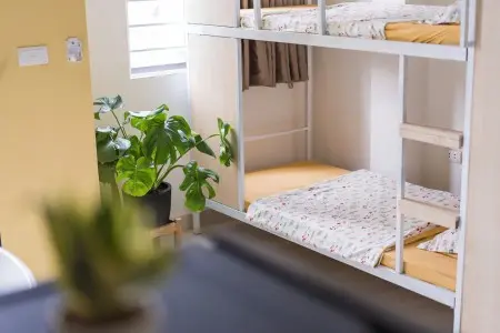 Tưng Bừng Khai Trương Cơ Sở Mới Tại 67Phùng Khoang– Ngay Chợ Sinh Viên – 1 Bước Chân Vạn Tiệních Giá