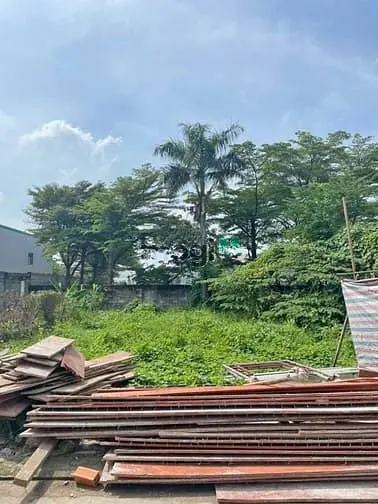 6063182 ảnh đại diện 1