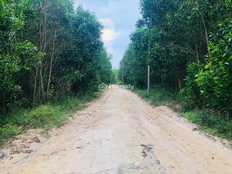 6063799 ảnh đại diện 1