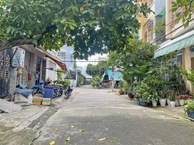 6063623 ảnh đại diện 1