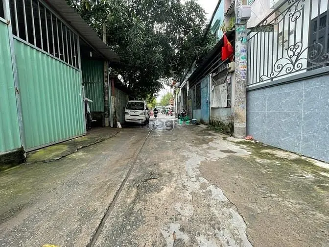 6063514 ảnh đại diện 1