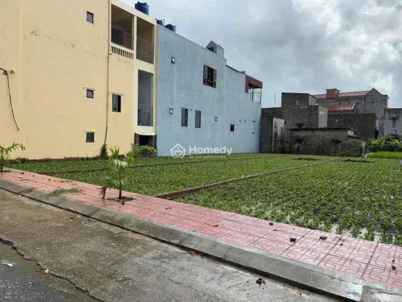 6063783 ảnh đại diện 1