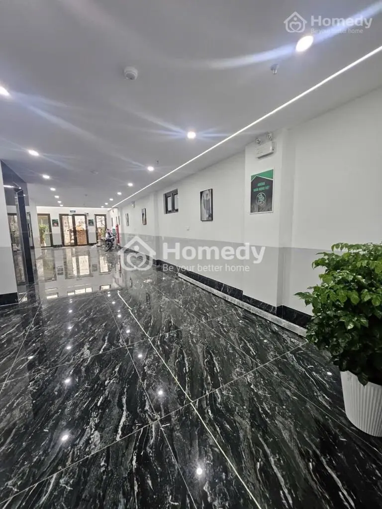 Ccmn Siêu Dòng Tiền Cạnh Đh Đại Nam Giá Đầu Tư