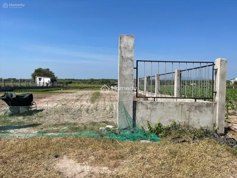 6063800 ảnh đại diện 1