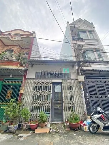6063660 ảnh đại diện 1