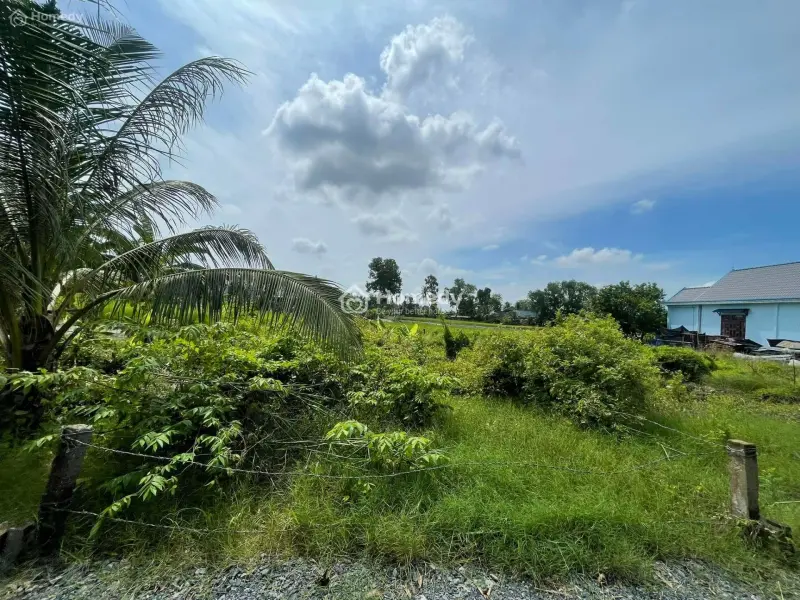 6063519 ảnh đại diện 1