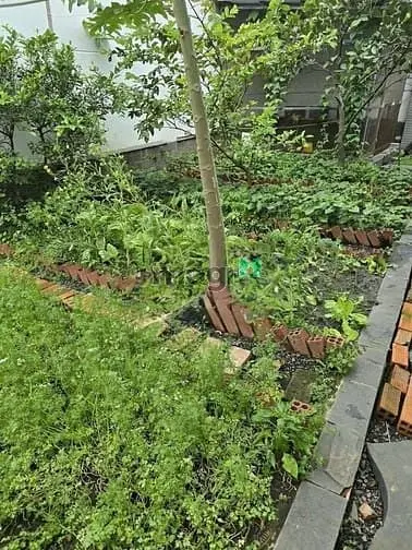 Bán Biêt Thự 1000M2 Đường Lê Thị Riêng, Phường Thới An, Quận 12