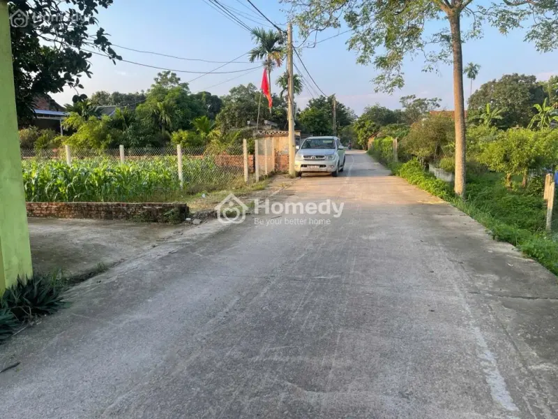 6063841 ảnh đại diện 1