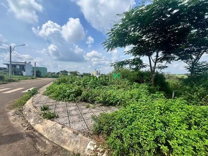 Bán Lô Góc Mặt Tiền Cô Giang Khu Đấu Giá Phường Hoa Lư