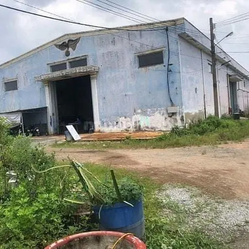6063972 ảnh đại diện 1