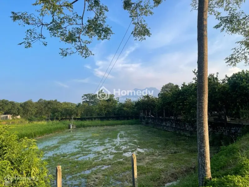 Bán Đất Lô Góc Chính Chủ 2 Mặt Tiền 354M2 Ngang 6M Đường Ô Tô Tránh Nhau Chỉ Nhỉnh 1T5