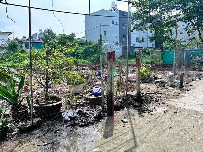 6063888 ảnh đại diện 1