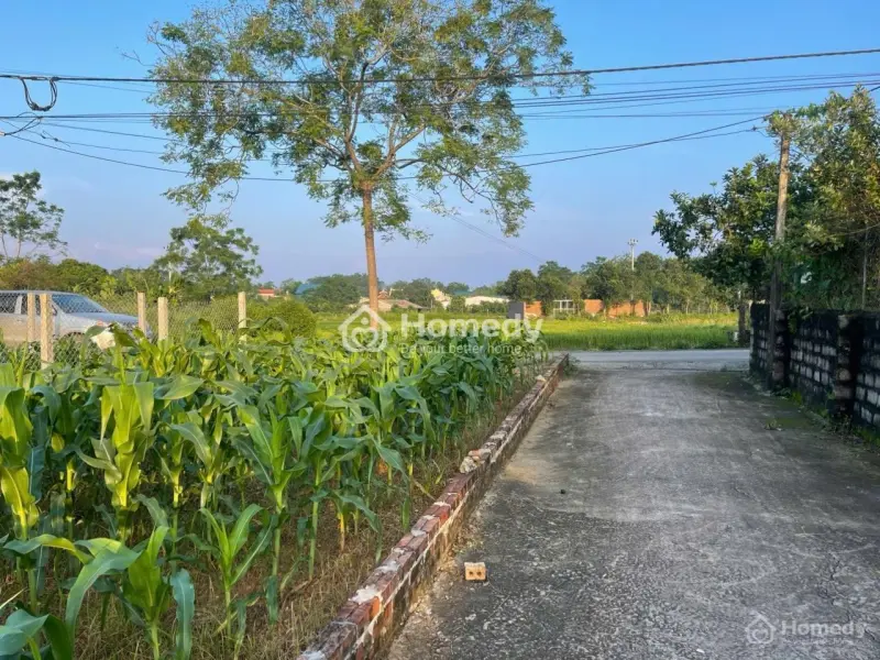 Bán Đất Lô Góc Chính Chủ 2 Mặt Tiền 354M2 Ngang 6M Đường Ô Tô Tránh Nhau Chỉ Nhỉnh 1T5