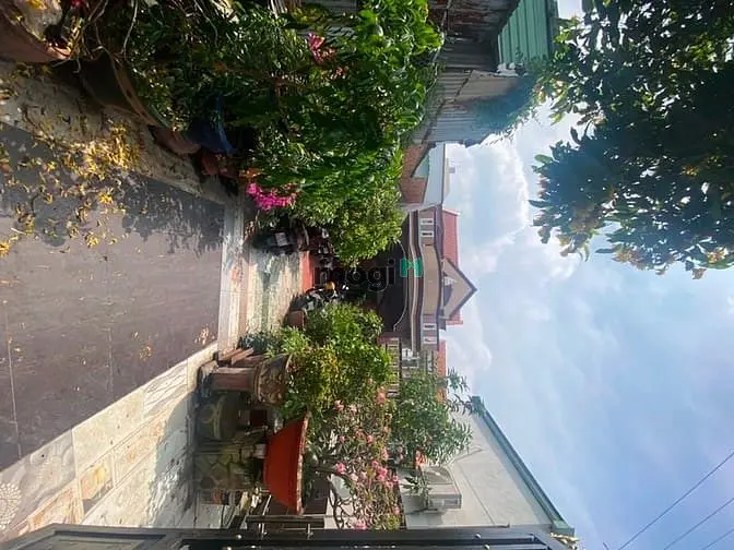 🏡 Biệt Thự Sân Vườn Huỳnh Tấn Phát, P. Tân Phú, Q.7 – 283.9M²