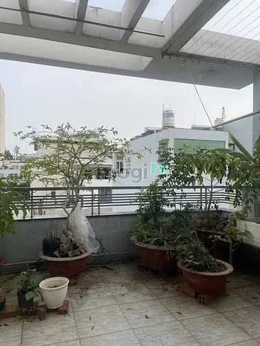 6063973 ảnh đại diện 1