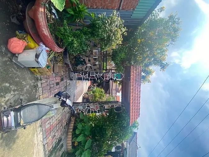 6063865 ảnh đại diện 1