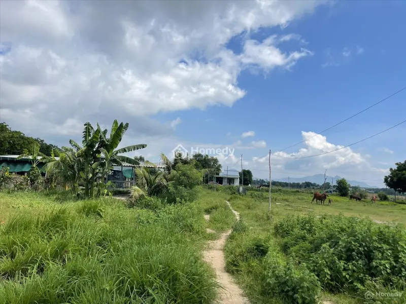 Bán 2000M2 Đất Ont Hẻm Lê Quang Định - Tân Tiến - Lagi Gần Biển Giá Mềm