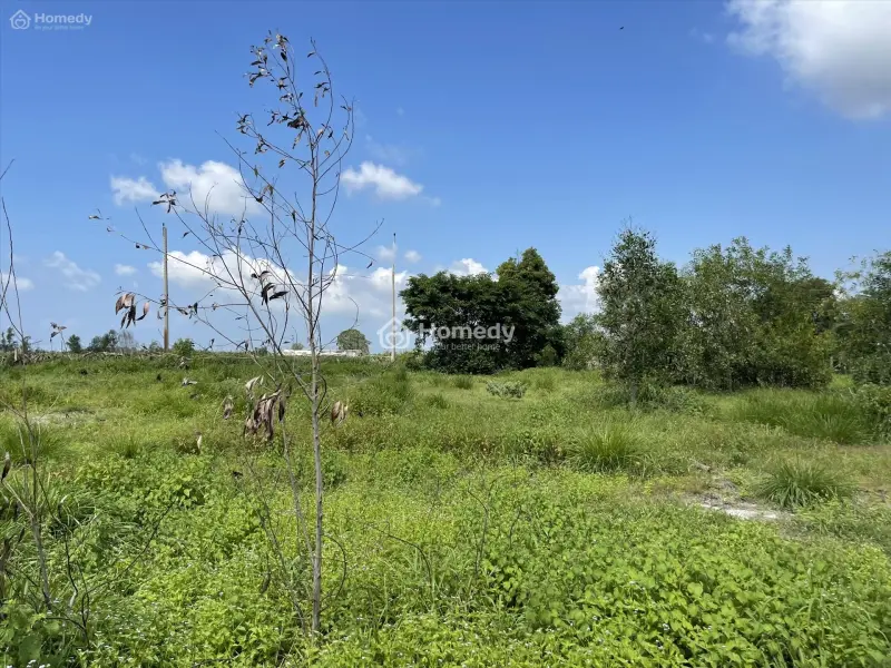 Bán 2000M2 Đất Ont Hẻm Lê Quang Định - Tân Tiến - Lagi Gần Biển Giá Mềm