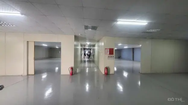 6064141 ảnh đại diện 1