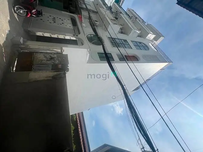 6064208 ảnh đại diện 1