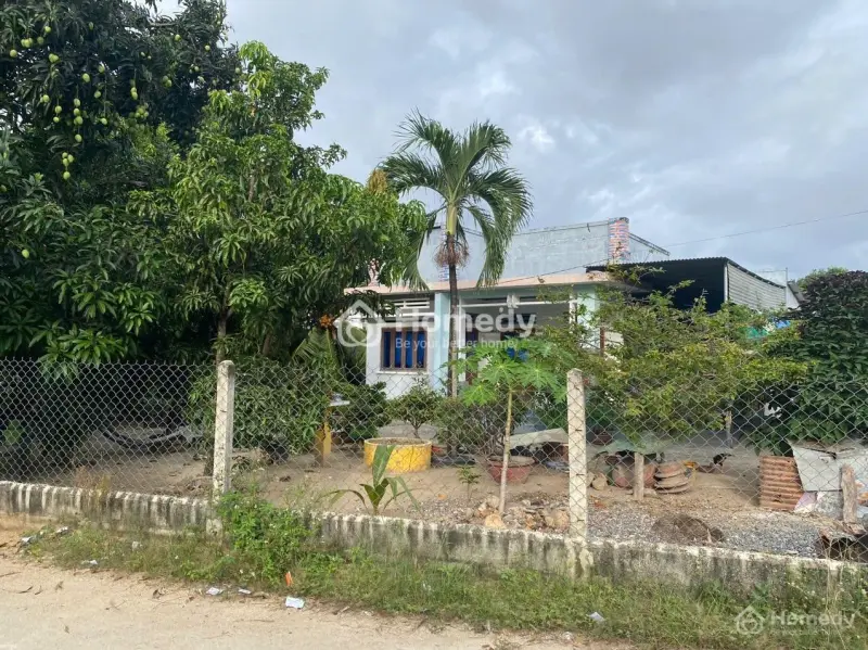 Bán Đất Khu Vực Lê Thánh Tông, Cam Ranh, Khánh Hòa