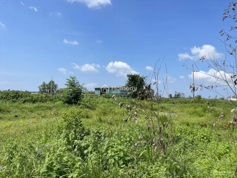 Bán 2000M2 Đất Ont Hẻm Lê Quang Định - Tân Tiến - Lagi Gần Biển Giá Mềm