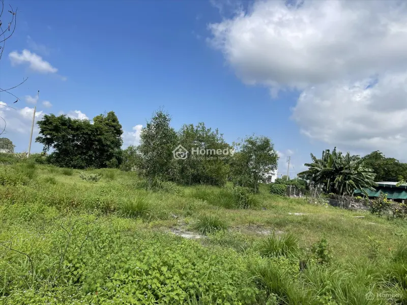 6064151 ảnh đại diện 1