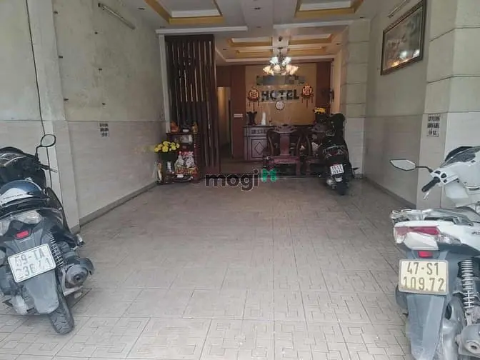 6064136 ảnh đại diện 1