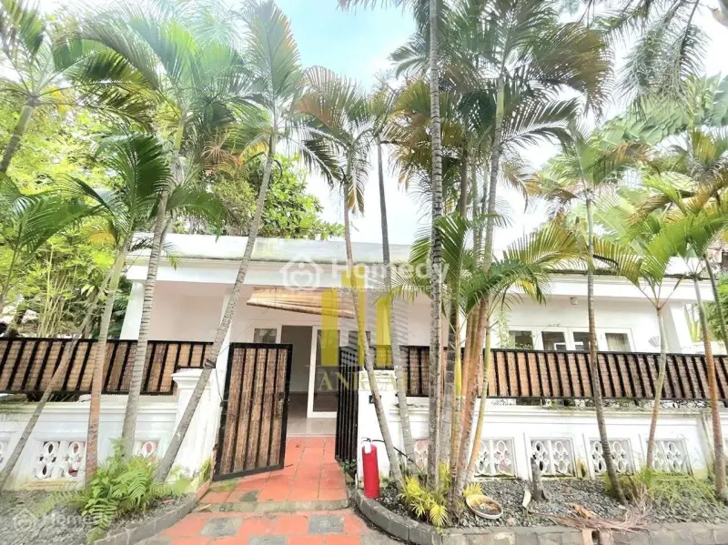 6064288 ảnh đại diện 1