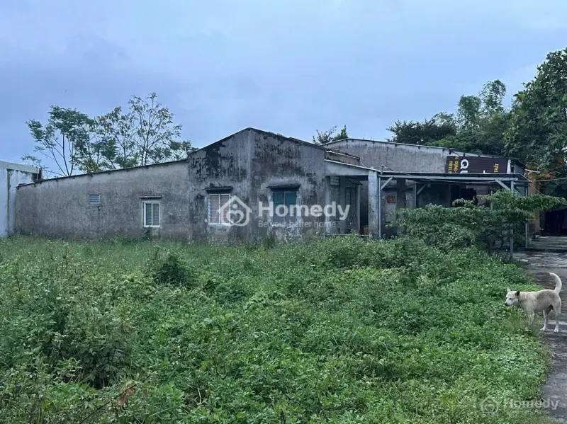 6064319 ảnh đại diện 1