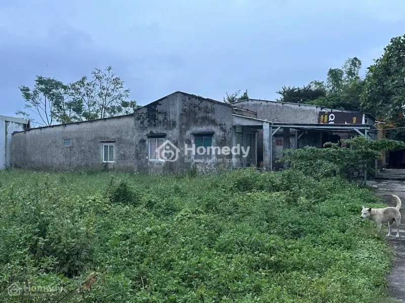 Bán Gấp Lô Đất Vuông Vứt Đẹp Và Rẻ Nhất Thị Trường Hòa Quý