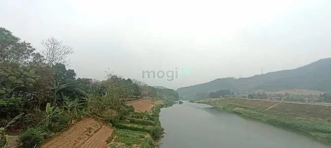 6064476 ảnh đại diện 1