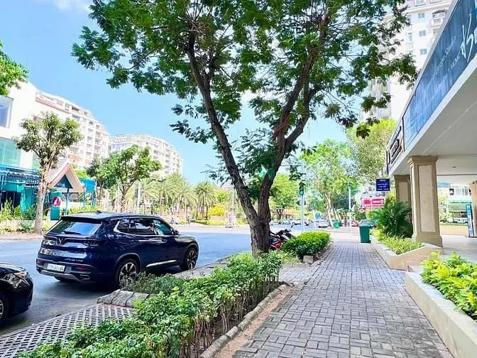 6064457 ảnh đại diện 1
