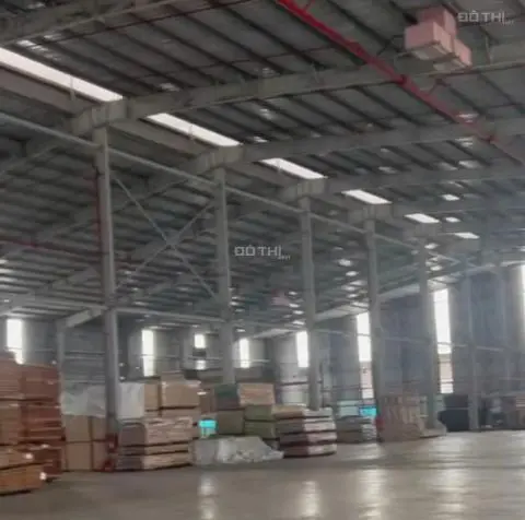 6064442 ảnh đại diện 1