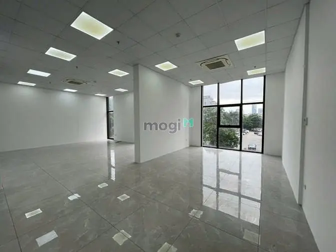 6064497 ảnh đại diện 1
