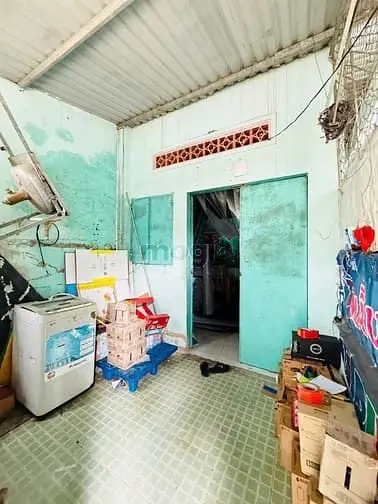 6064843 ảnh đại diện 1