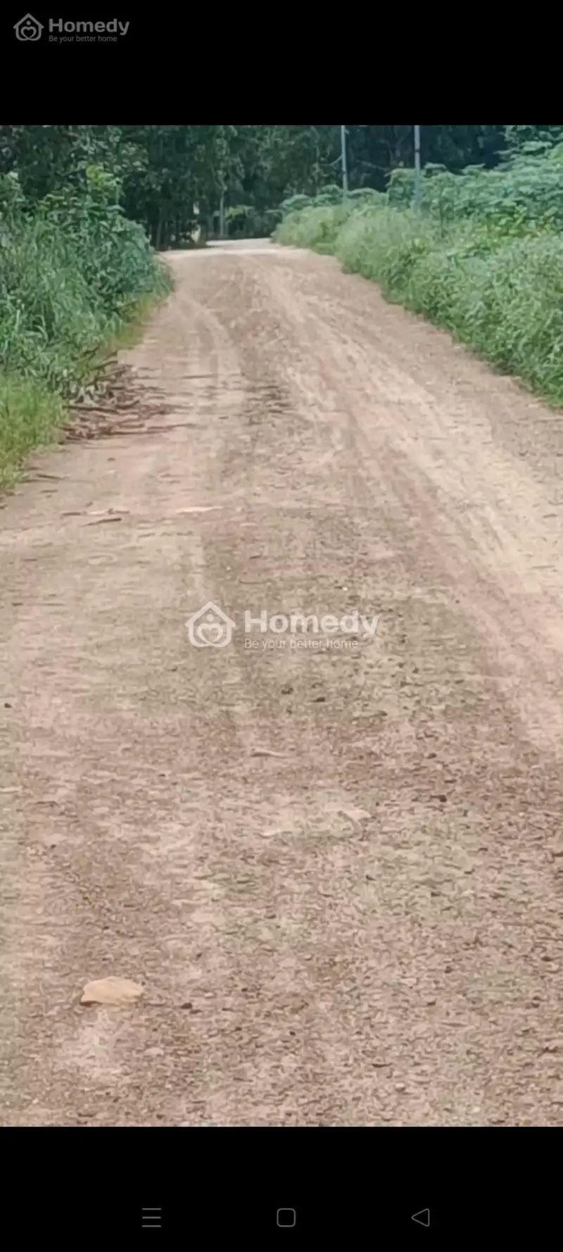 6064831 ảnh đại diện 1