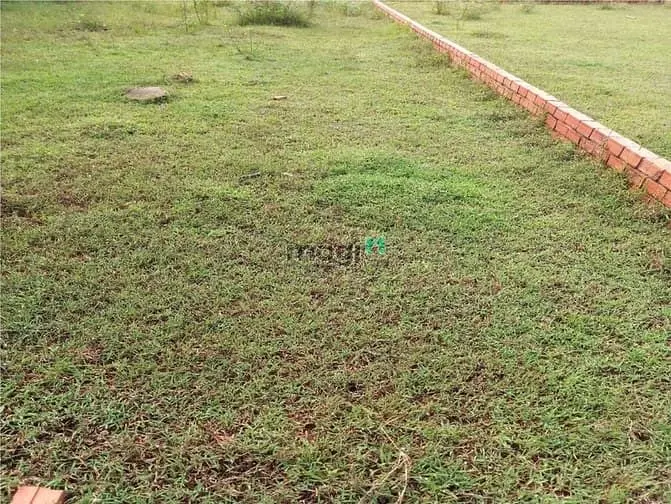 6064659 ảnh đại diện 1