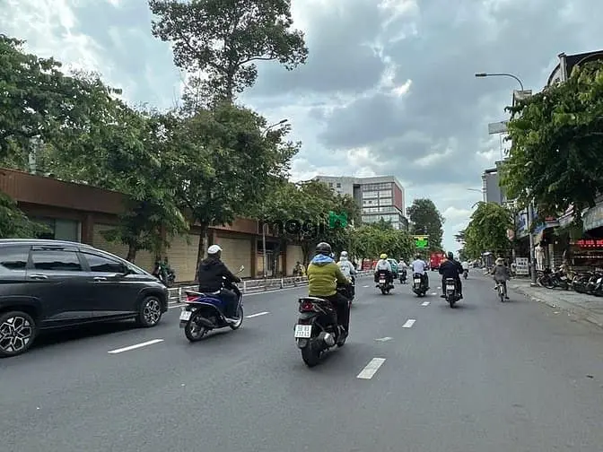 6064651 ảnh đại diện 1