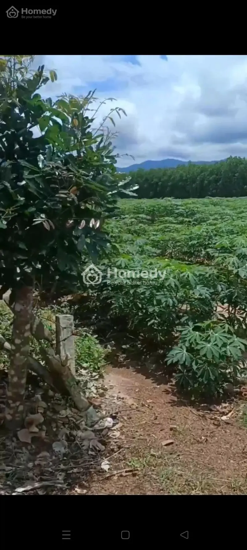 Bán Đất Nông Nghiệp Diện Tích 1000M²Có Sẵn 200M² Thổ Cư,, Gần Kcn Sonadezi Tân Đức, Bình Thuận