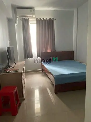 6064842 ảnh đại diện 1