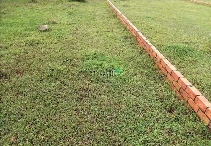 Cần Cho Thuê Đất 7X26M 6Tr/Th Đường 711 (Gần C. Cư Jamila Khang Điền)