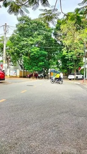 6064920 ảnh đại diện 1