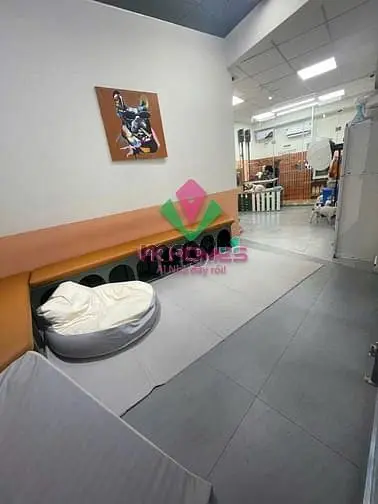 Mặt Bằng Kinh Doanh Cực Hot Đường Thảo Điền -5X16M. Giá Thuê 80Tr/Th