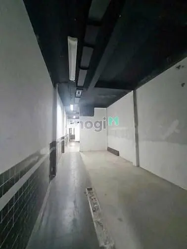 6065146 ảnh đại diện 1