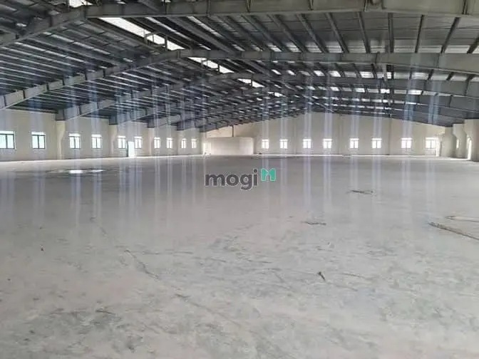 6065217 ảnh đại diện 1