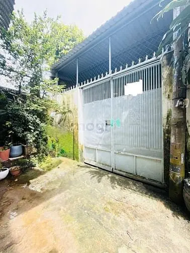 6065082 ảnh đại diện 1